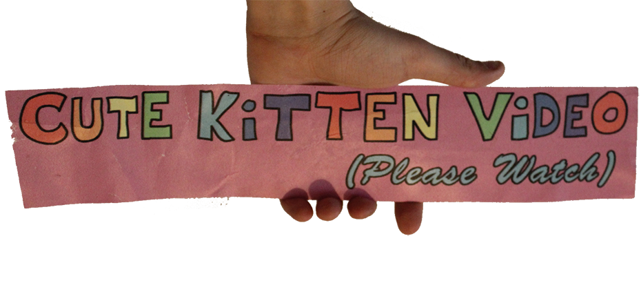 Cute Kitten Video (Please Watch)